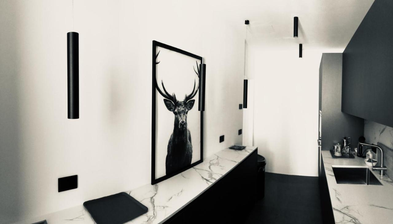 Apartament Falier- Luminosa